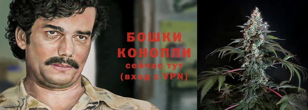 сатива Михайловка