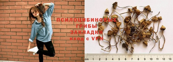 сатива Михайловка