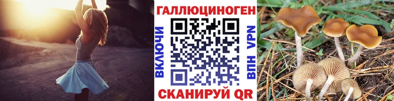 Псилоцибиновые грибы Cubensis Барнаул