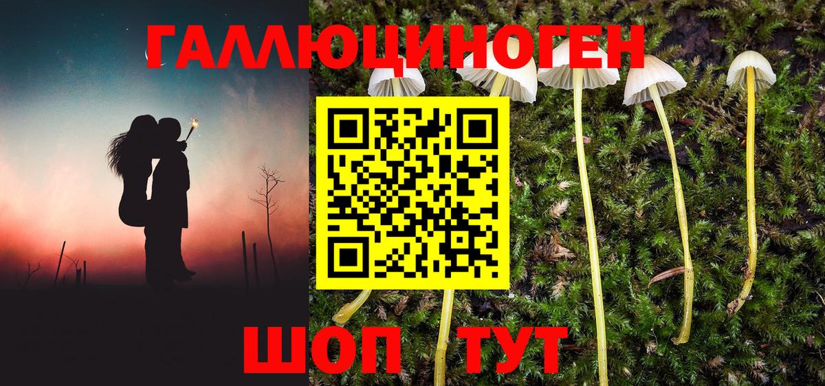 Галлюциногенные грибы ЛСД  Россия 