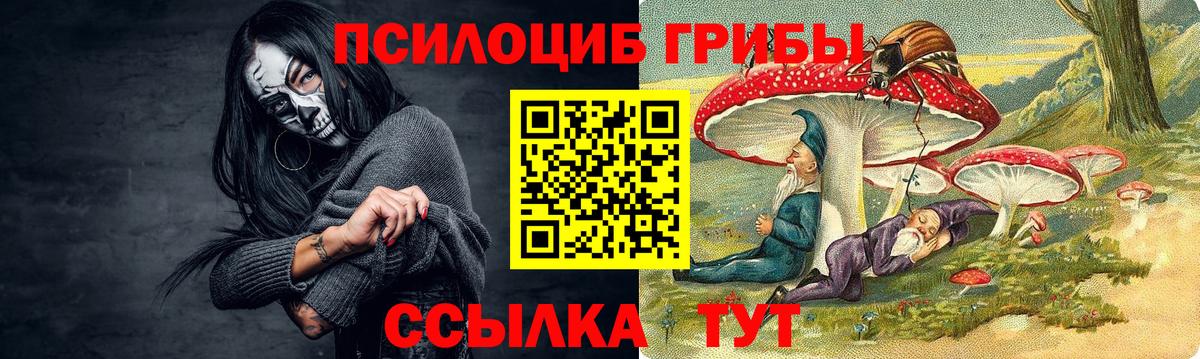 Конопля  Россия  МДМА  Вход с VPN  Меф   ГАШИШ  НБОМе  Купить наркоту  A-PVP СК кристаллы 