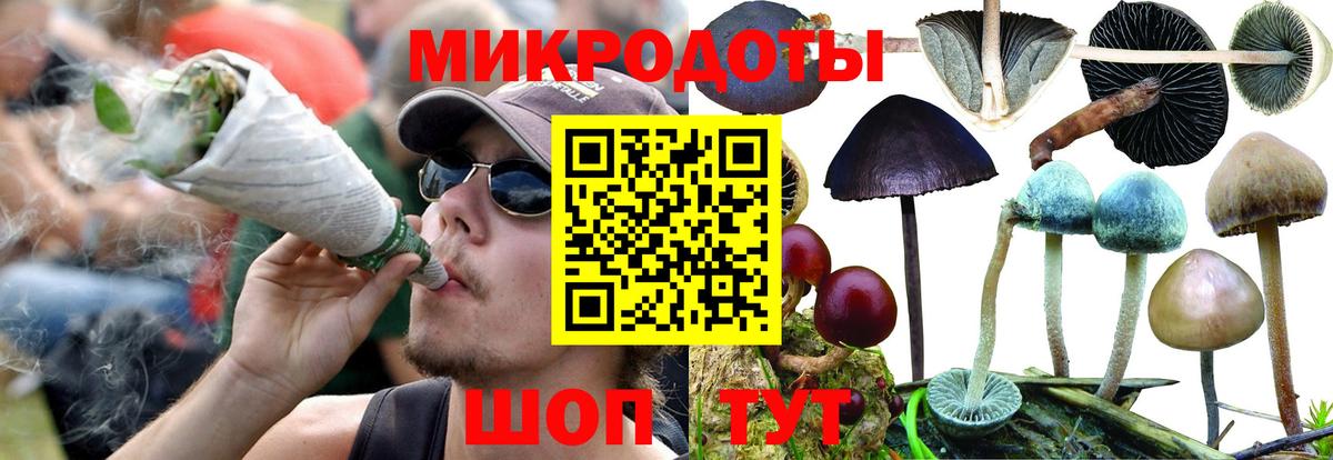 Галлюциногенные грибы MAGIC MUSHROOMS Россия