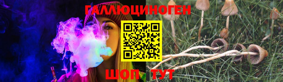 Псилоцибиновые грибы MAGIC MUSHROOMS  Галлюциногенные грибы Psilocybine cubensis  Россия  Вход с VPN 